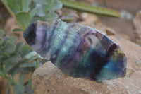 Polished On One Side Watermelon Fluorite Specimens x 6 From Uis, Namibia - Toprock Gemstones and Minerals 