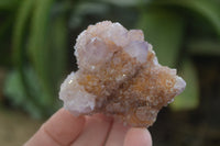 Natural Ametrine Spirit Quartz Clusters x 12 From Boekenhouthoek, South Africa