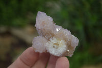 Natural Ametrine Spirit Quartz Clusters x 12 From Boekenhouthoek, South Africa