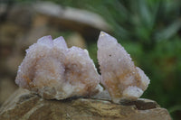 Natural Ametrine Spirit Quartz Clusters x 12 From Boekenhouthoek, South Africa