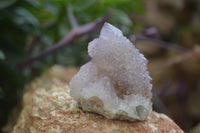 Natural Ametrine Spirit Quartz Clusters x 12 From Boekenhouthoek, South Africa