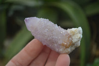 Natural Ametrine Spirit Quartz Clusters x 12 From Boekenhouthoek, South Africa