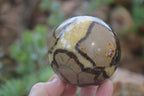 Polished Septerye Spheres x 6 From Mahajanga, Madagascar - Toprock Gemstones and Minerals 