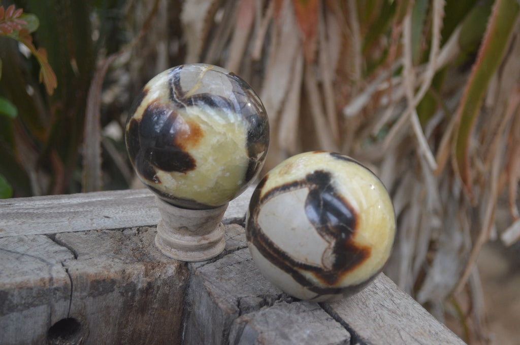 Polished Septerye Spheres x 6 From Mahajanga, Madagascar - Toprock Gemstones and Minerals 