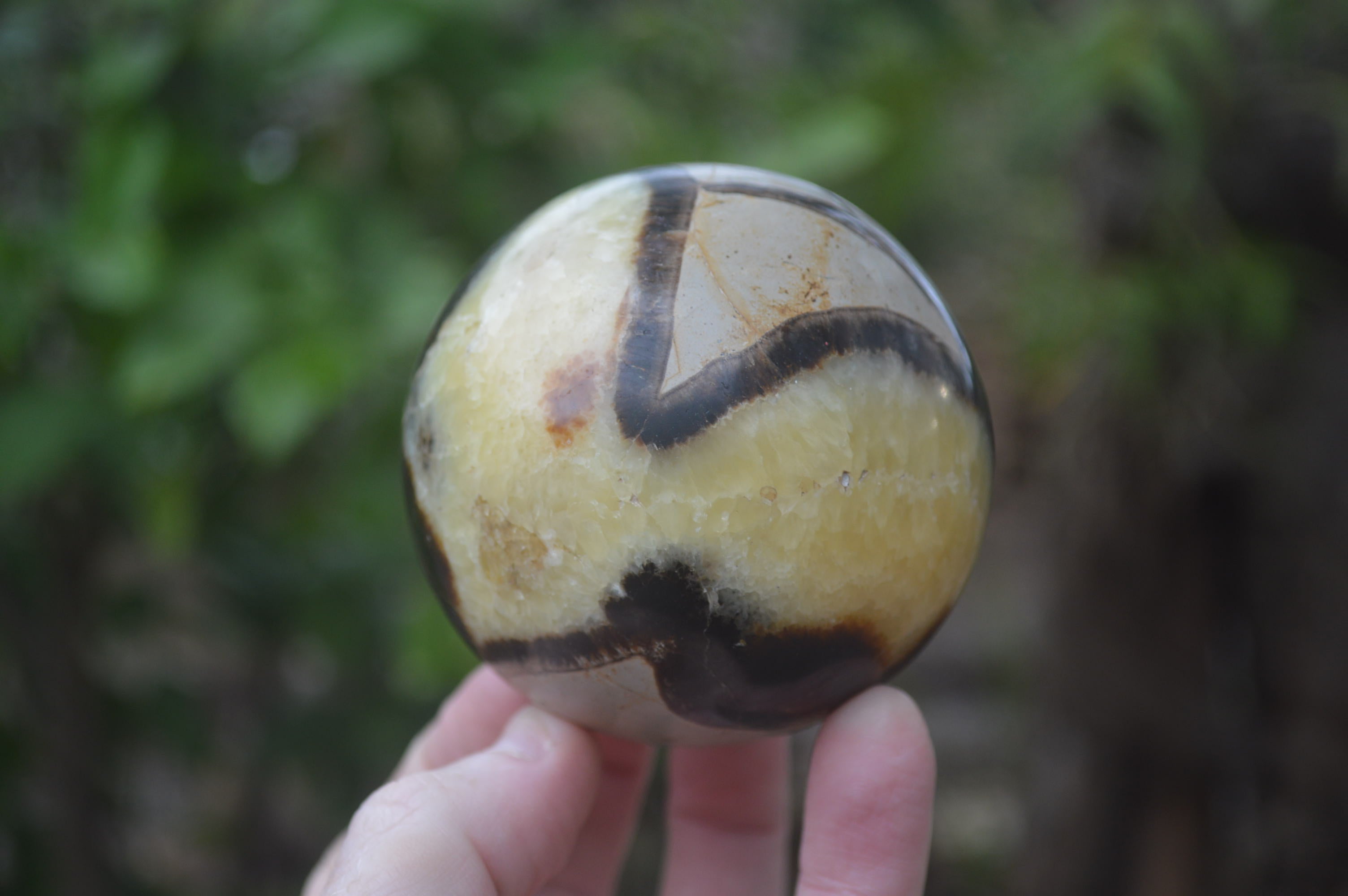 Polished Septerye Spheres x 6 From Mahajanga, Madagascar - Toprock Gemstones and Minerals 