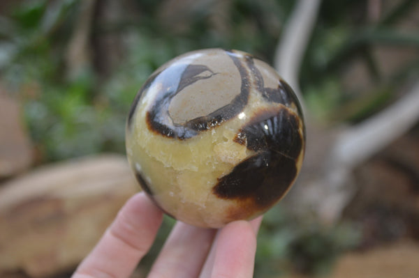 Polished Septerye Spheres x 6 From Mahajanga, Madagascar - Toprock Gemstones and Minerals 