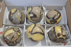Polished Septerye Spheres x 6 From Mahajanga, Madagascar - Toprock Gemstones and Minerals 