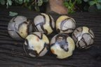 Polished Septerye Spheres x 6 From Mahajanga, Madagascar - Toprock Gemstones and Minerals 
