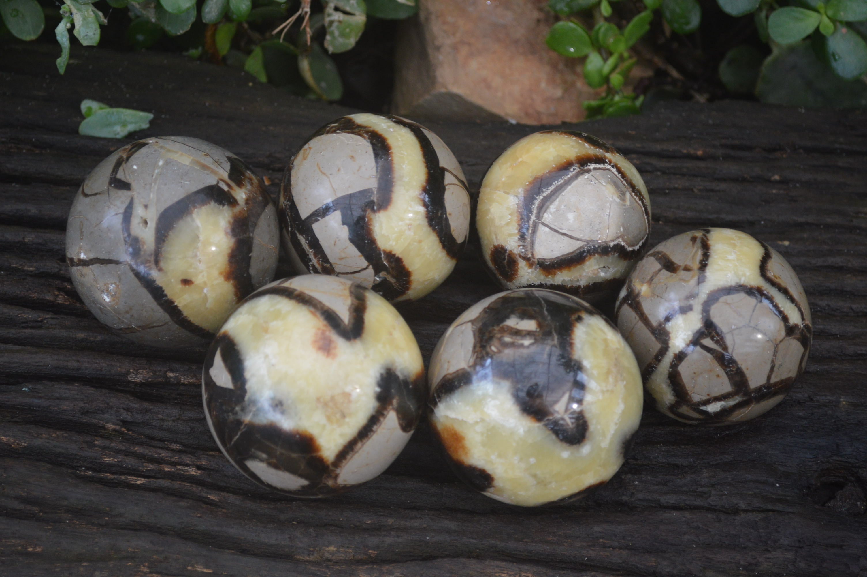 Polished Septerye Spheres x 6 From Mahajanga, Madagascar - Toprock Gemstones and Minerals 