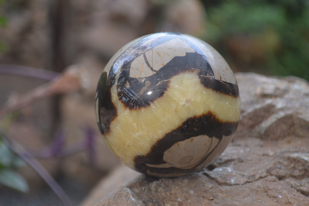 Polished Septerye Spheres x 6 From Mahajanga, Madagascar - Toprock Gemstones and Minerals 