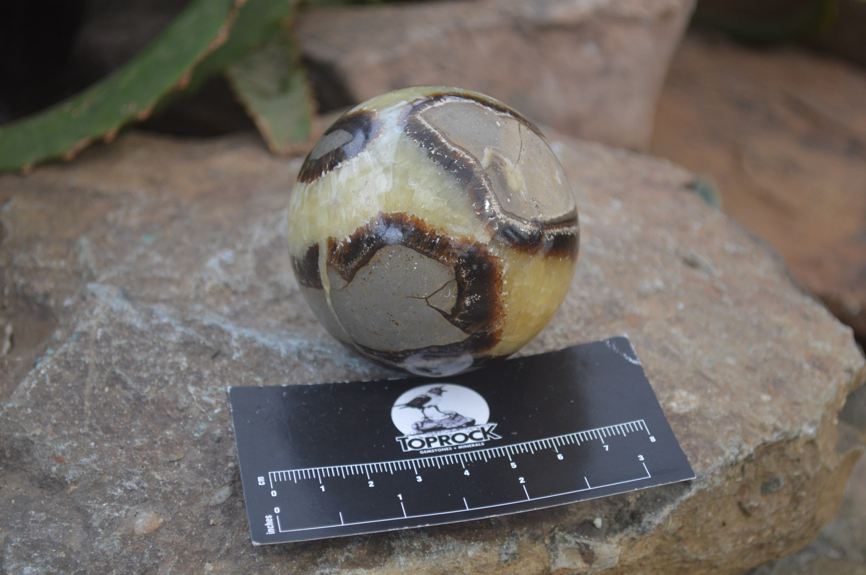 Polished Septerye Spheres x 6 From Mahajanga, Madagascar - Toprock Gemstones and Minerals 