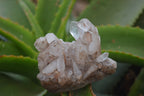 Natural Clear Quartz Clusters x 12 From Madagascar - Toprock Gemstones and Minerals 