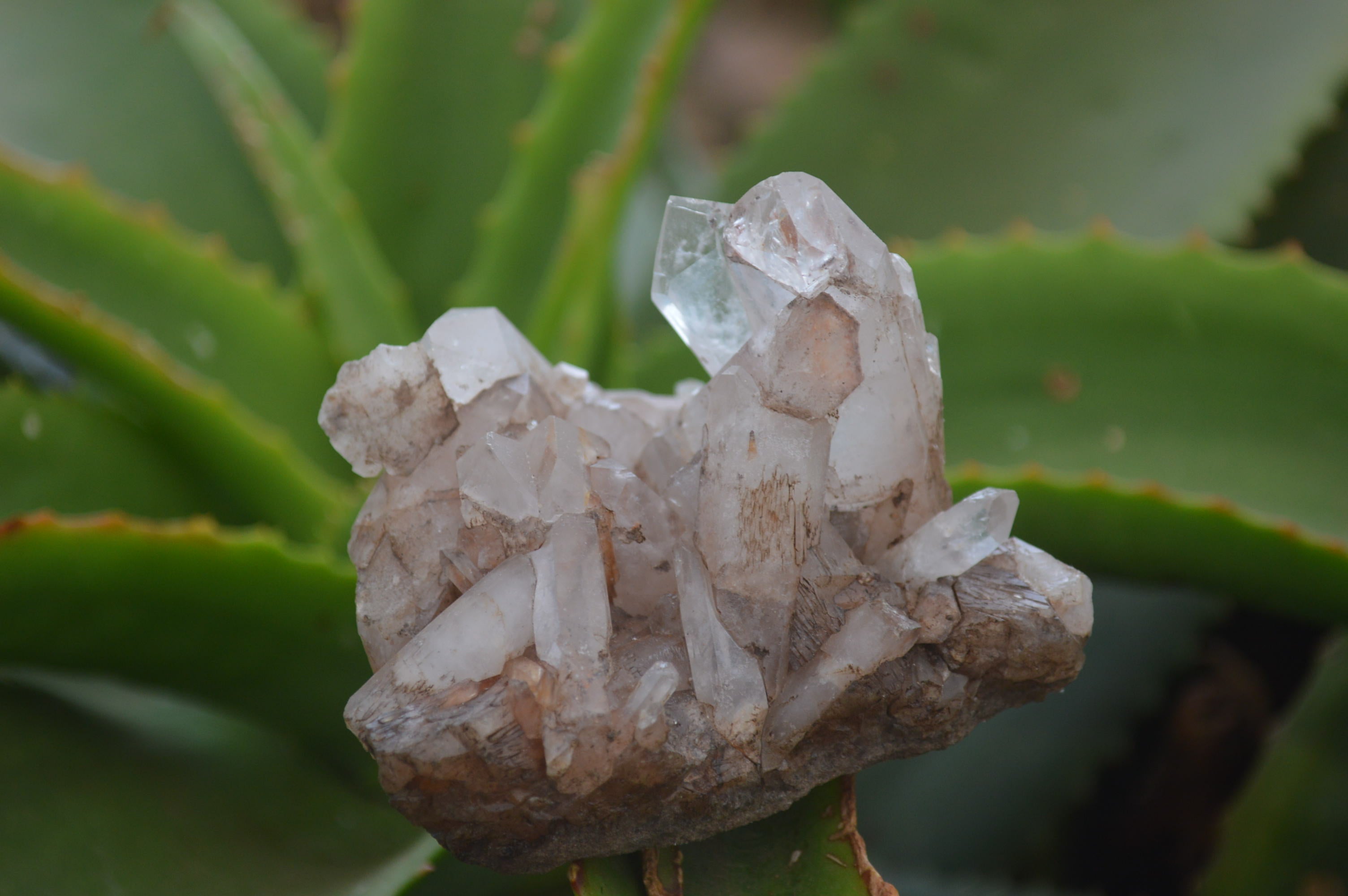 Natural Clear Quartz Clusters x 12 From Madagascar - Toprock Gemstones and Minerals 