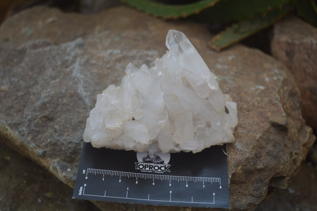 Natural Clear Quartz Clusters x 12 From Madagascar - Toprock Gemstones and Minerals 