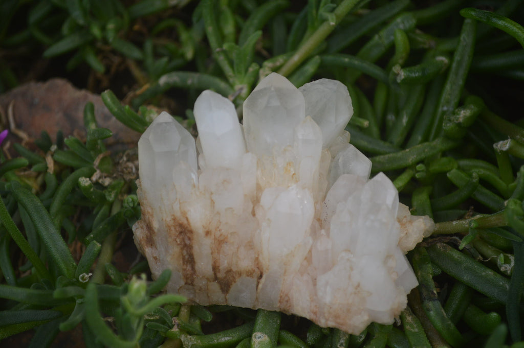 Natural Clear Quartz Clusters x 12 From Madagascar - Toprock Gemstones and Minerals 