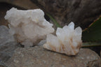 Natural Clear Quartz Clusters x 12 From Madagascar - Toprock Gemstones and Minerals 