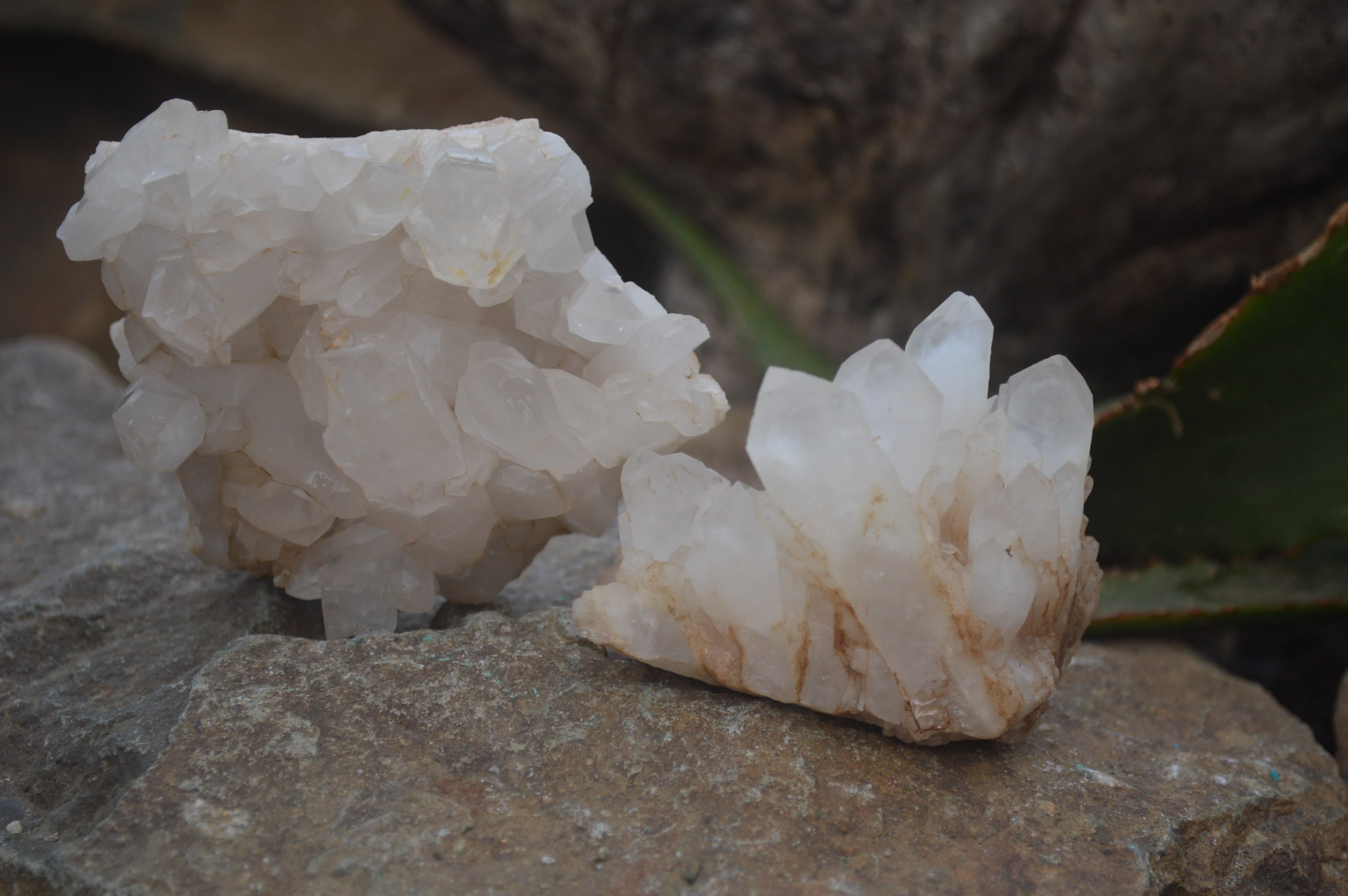 Natural Clear Quartz Clusters x 12 From Madagascar - Toprock Gemstones and Minerals 