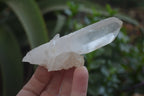 Natural Clear Quartz Clusters x 12 From Madagascar - Toprock Gemstones and Minerals 
