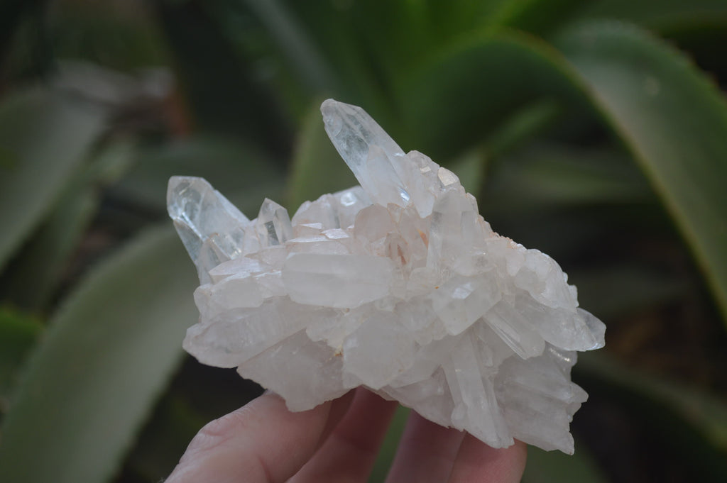 Natural Clear Quartz Clusters x 12 From Madagascar - Toprock Gemstones and Minerals 