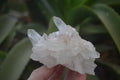 Natural Clear Quartz Clusters x 12 From Madagascar - Toprock Gemstones and Minerals 
