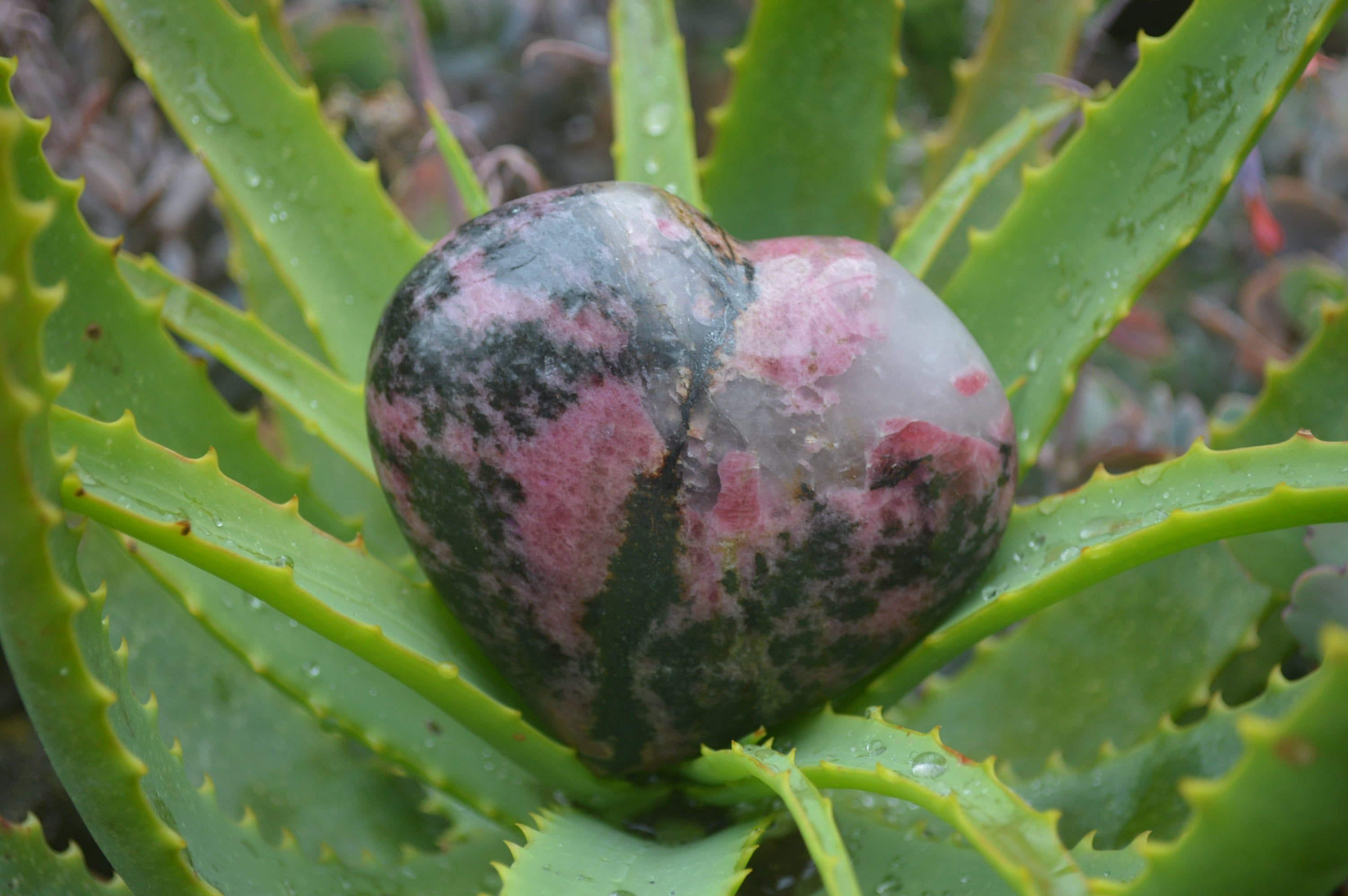 Polished Rhodonite Gemstone Hearts x 3 From Madagascar - Toprock Gemstones and Minerals 