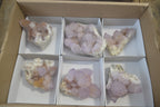 Natural Amethyst Spirit Quartz Clusters x 6 From Boekenhouthoek, South Africa - Toprock Gemstones and Minerals 