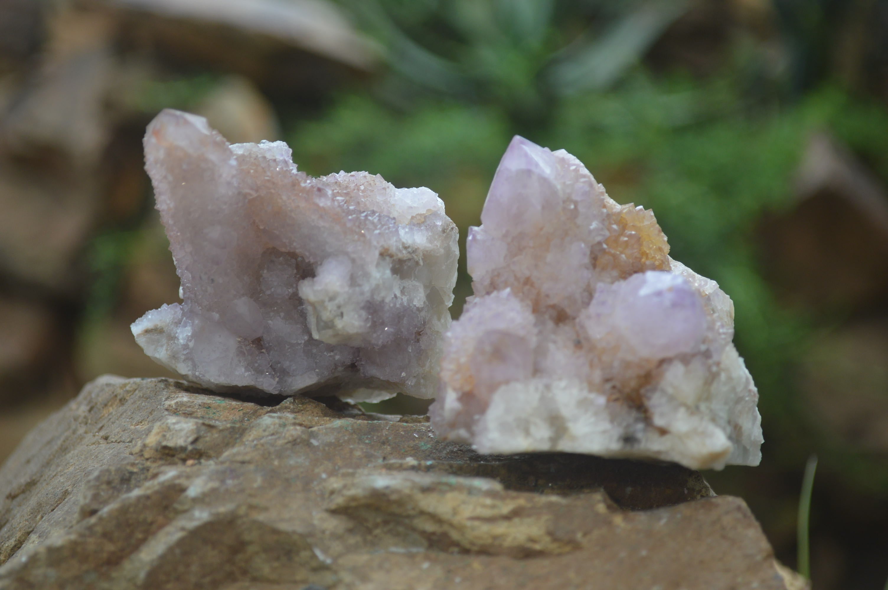 Natural Amethyst Spirit Quartz Clusters x 6 From Boekenhouthoek, South Africa - Toprock Gemstones and Minerals 