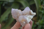 Natural Amethyst Spirit Quartz Clusters x 6 From Boekenhouthoek, South Africa - Toprock Gemstones and Minerals 