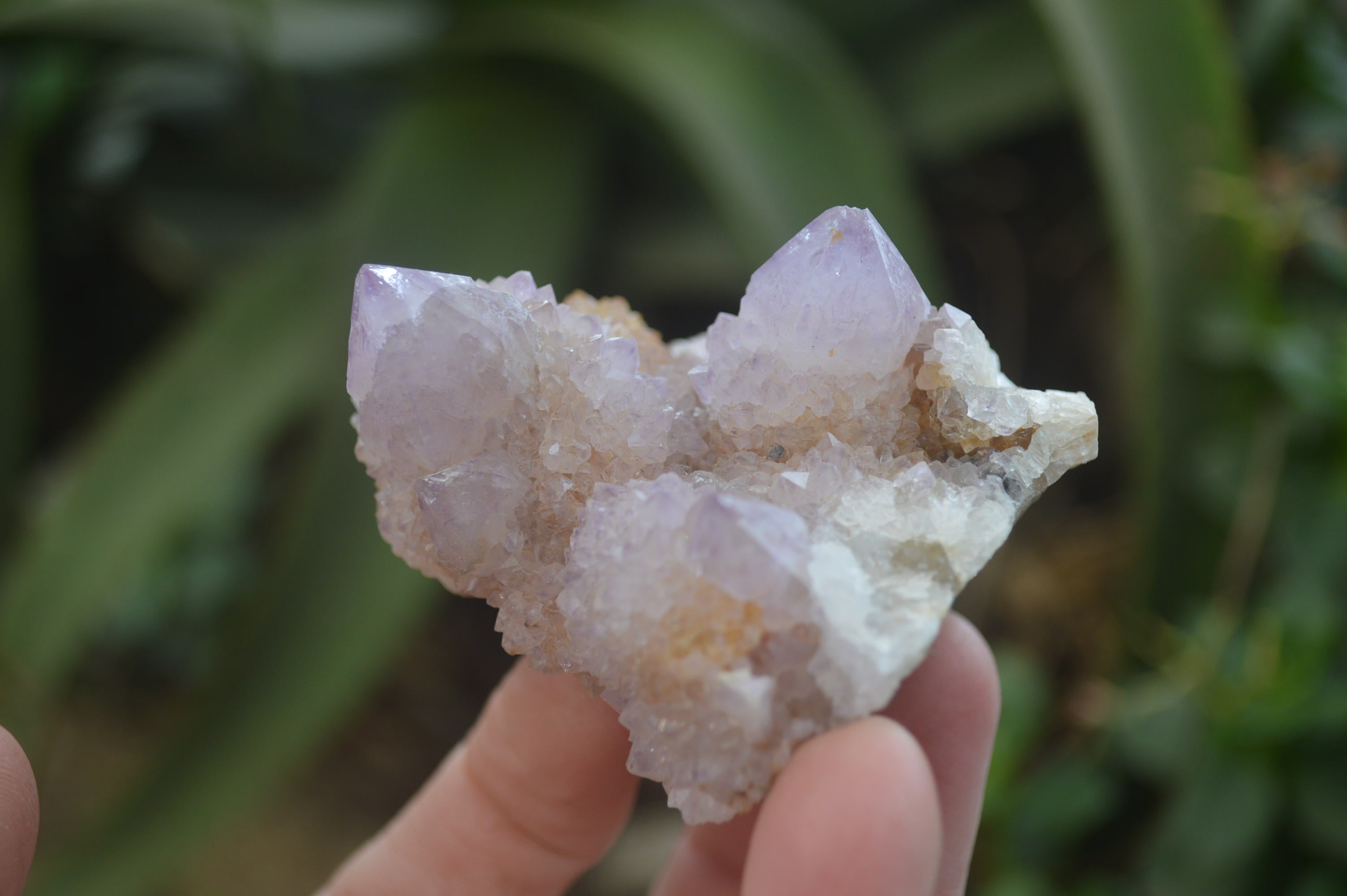 Natural Amethyst Spirit Quartz Clusters x 6 From Boekenhouthoek, South Africa - Toprock Gemstones and Minerals 