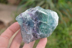 Natural Watermelon Fluorite Cobbed Specimens x 12 From Uis, Namibia - Toprock Gemstones and Minerals 