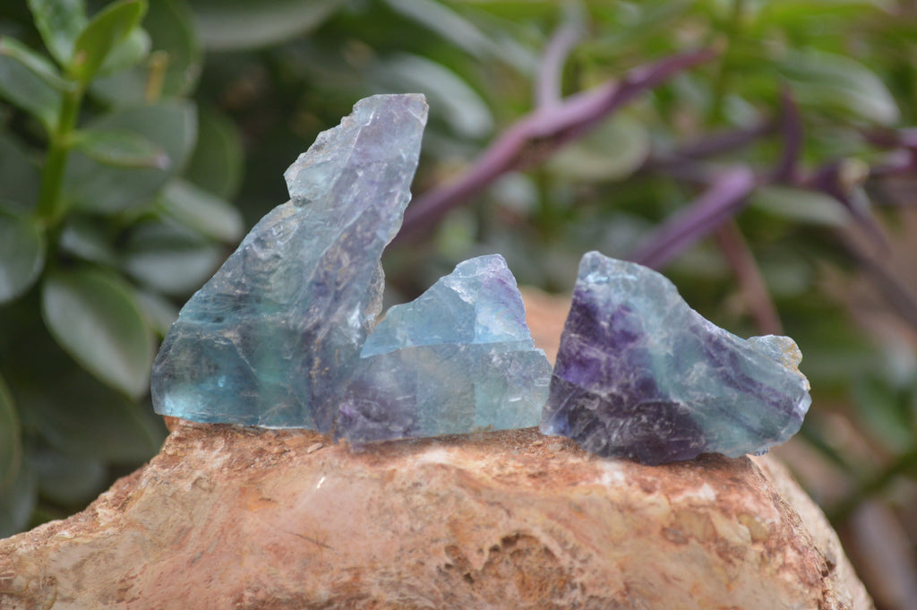 Natural Watermelon Fluorite Cobbed Specimens x 12 From Uis, Namibia - Toprock Gemstones and Minerals 
