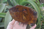 Polished On One Side Nguni Jasper Specimens x 2 From Prieska, South Africa - Toprock Gemstones and Minerals 