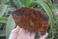 Polished On One Side Nguni Jasper Specimens x 2 From Prieska, South Africa - Toprock Gemstones and Minerals 