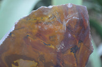 Polished On One Side Nguni Jasper Specimens x 2 From Prieska, South Africa - Toprock Gemstones and Minerals 