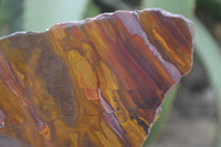 Polished On One Side Nguni Jasper Specimens x 2 From Prieska, South Africa - Toprock Gemstones and Minerals 