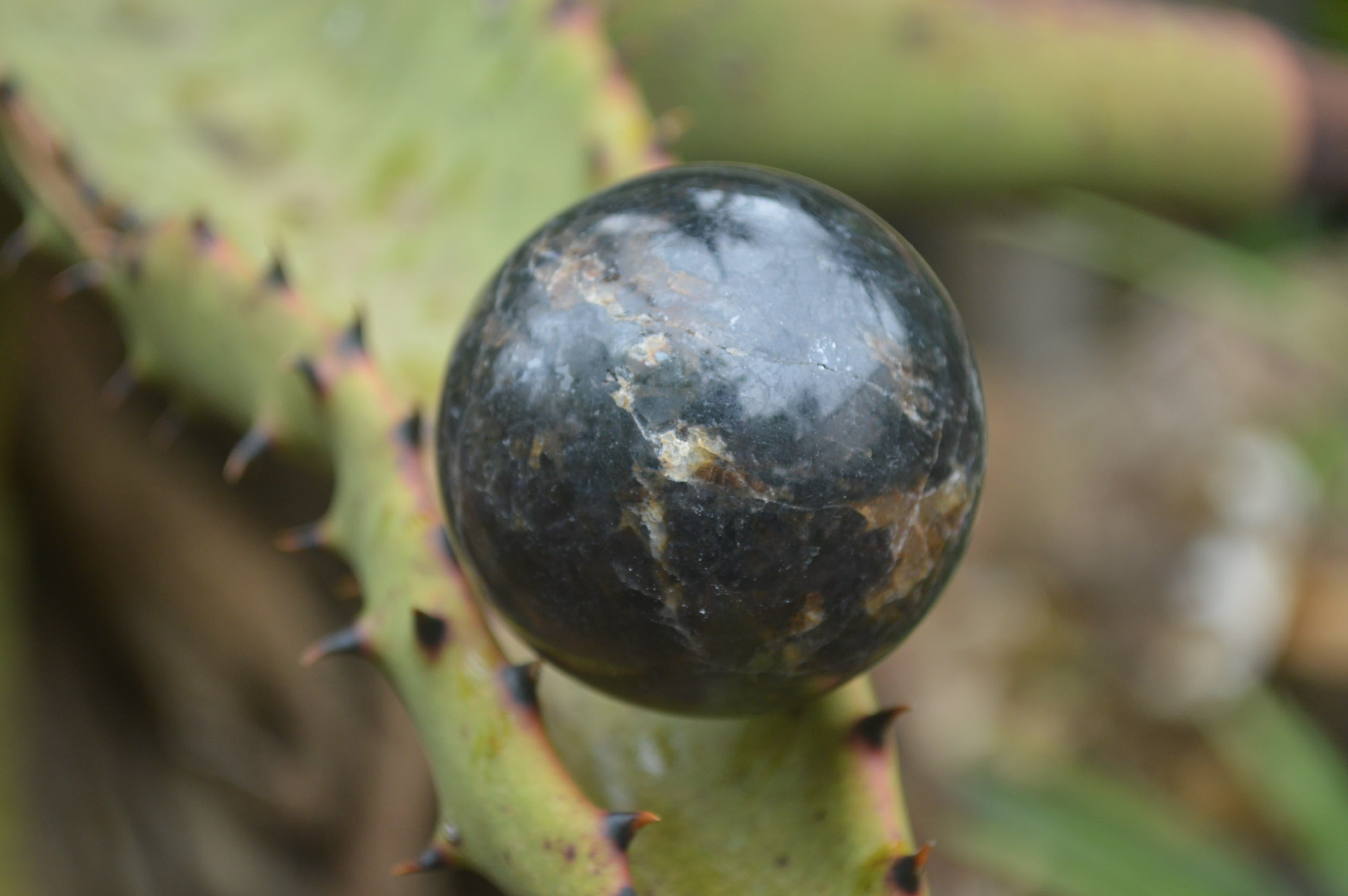 Polished Iolite Water Sapphire Sphere-Balls x 4 From Madagascar - Toprock Gemstones and Minerals 