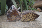 Polished On One Side Nguni Jasper Specimens x 2 From Prieska, South Africa - Toprock Gemstones and Minerals 