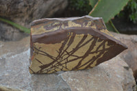 Polished On One Side Nguni Jasper Specimens x 2 From Prieska, South Africa - Toprock Gemstones and Minerals 