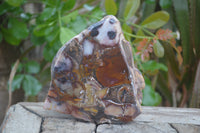 Polished On One Side Nguni Jasper Specimens x 2 From Prieska, South Africa - Toprock Gemstones and Minerals 