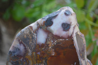 Polished On One Side Nguni Jasper Specimens x 2 From Prieska, South Africa - Toprock Gemstones and Minerals 