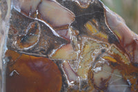 Polished On One Side Nguni Jasper Specimens x 2 From Prieska, South Africa - Toprock Gemstones and Minerals 