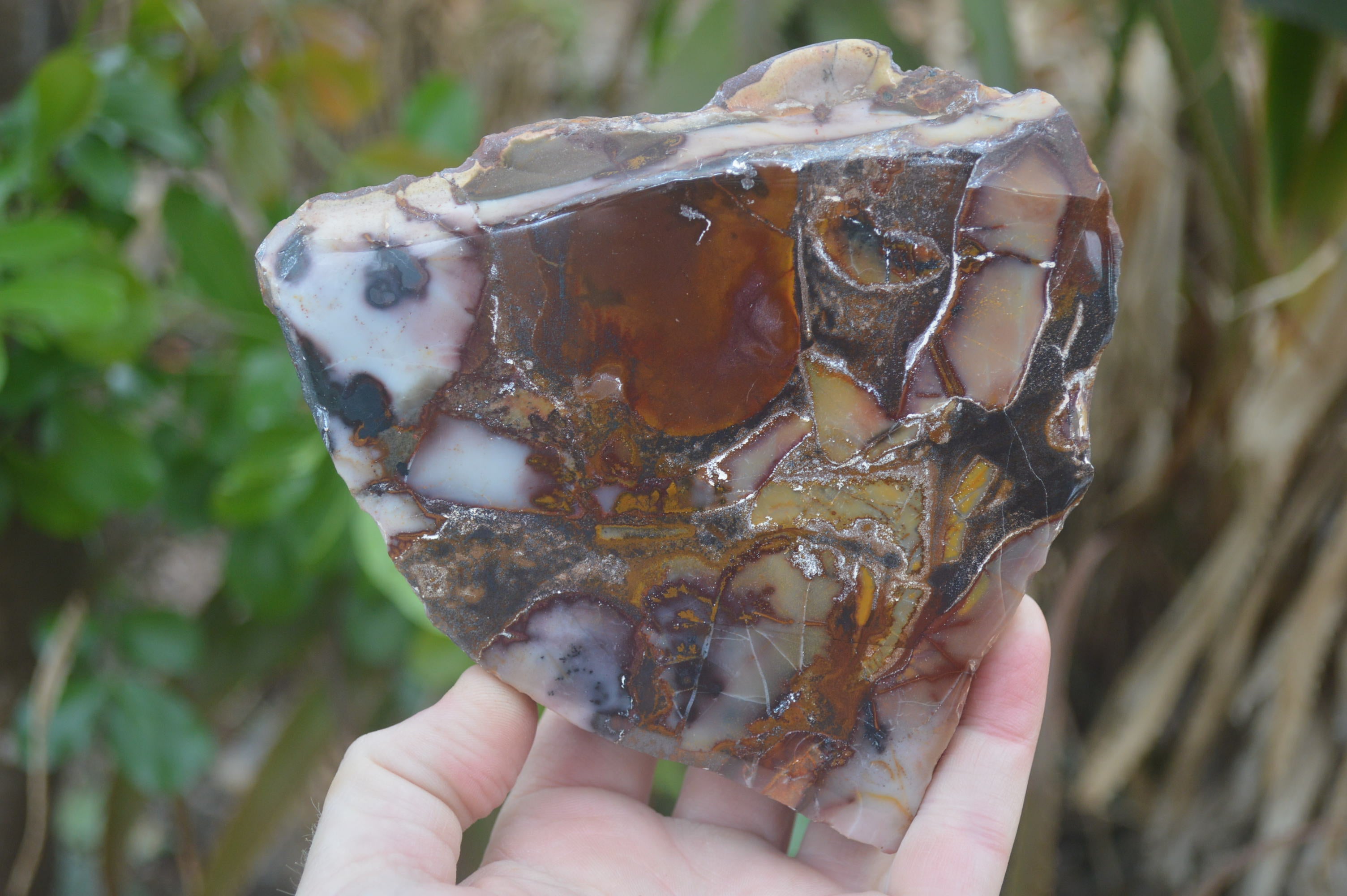 Polished On One Side Nguni Jasper Specimens x 2 From Prieska, South Africa - Toprock Gemstones and Minerals 