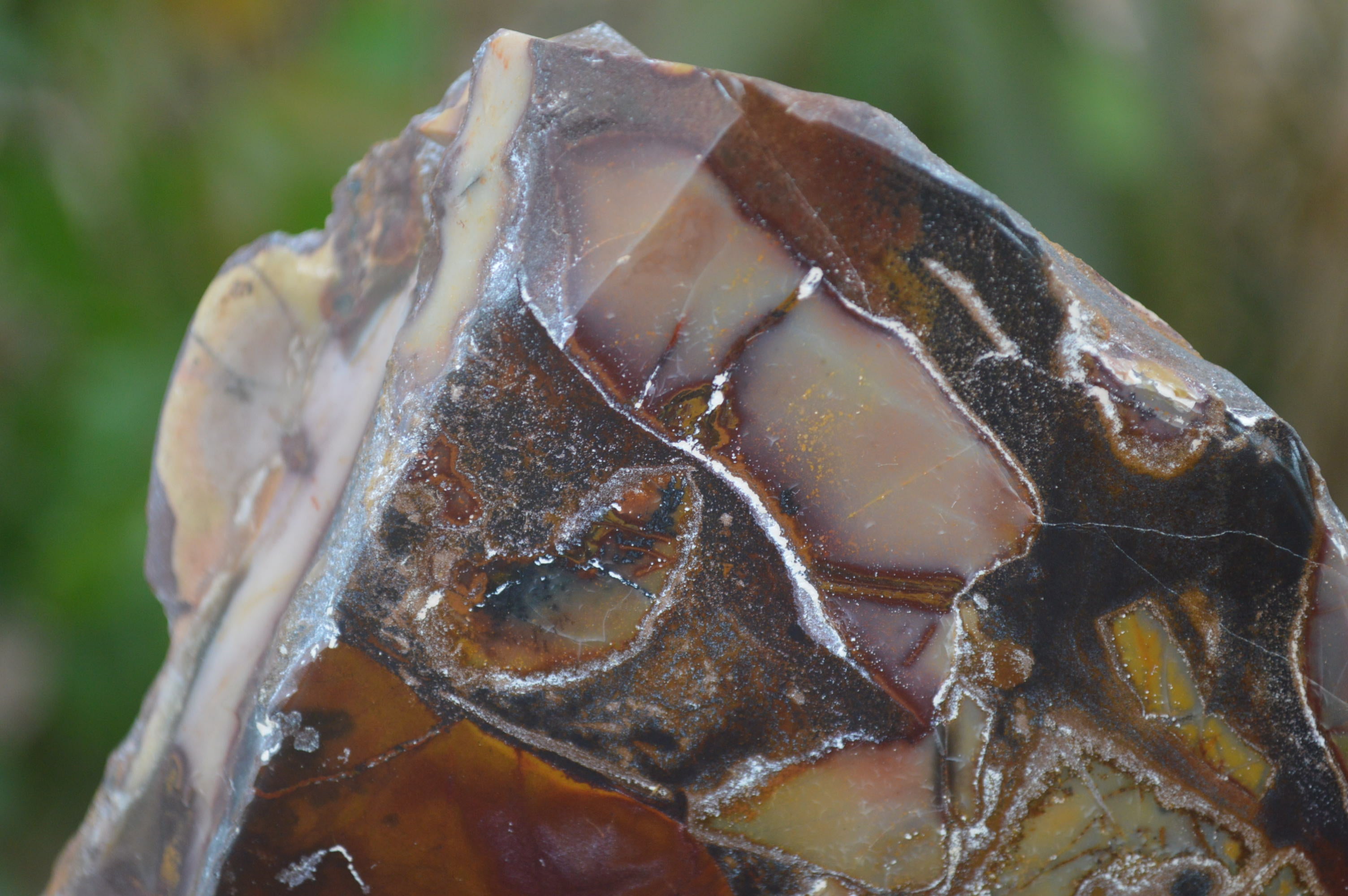 Polished On One Side Nguni Jasper Specimens x 2 From Prieska, South Africa - Toprock Gemstones and Minerals 