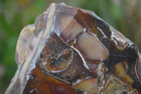Polished On One Side Nguni Jasper Specimens x 2 From Prieska, South Africa - Toprock Gemstones and Minerals 