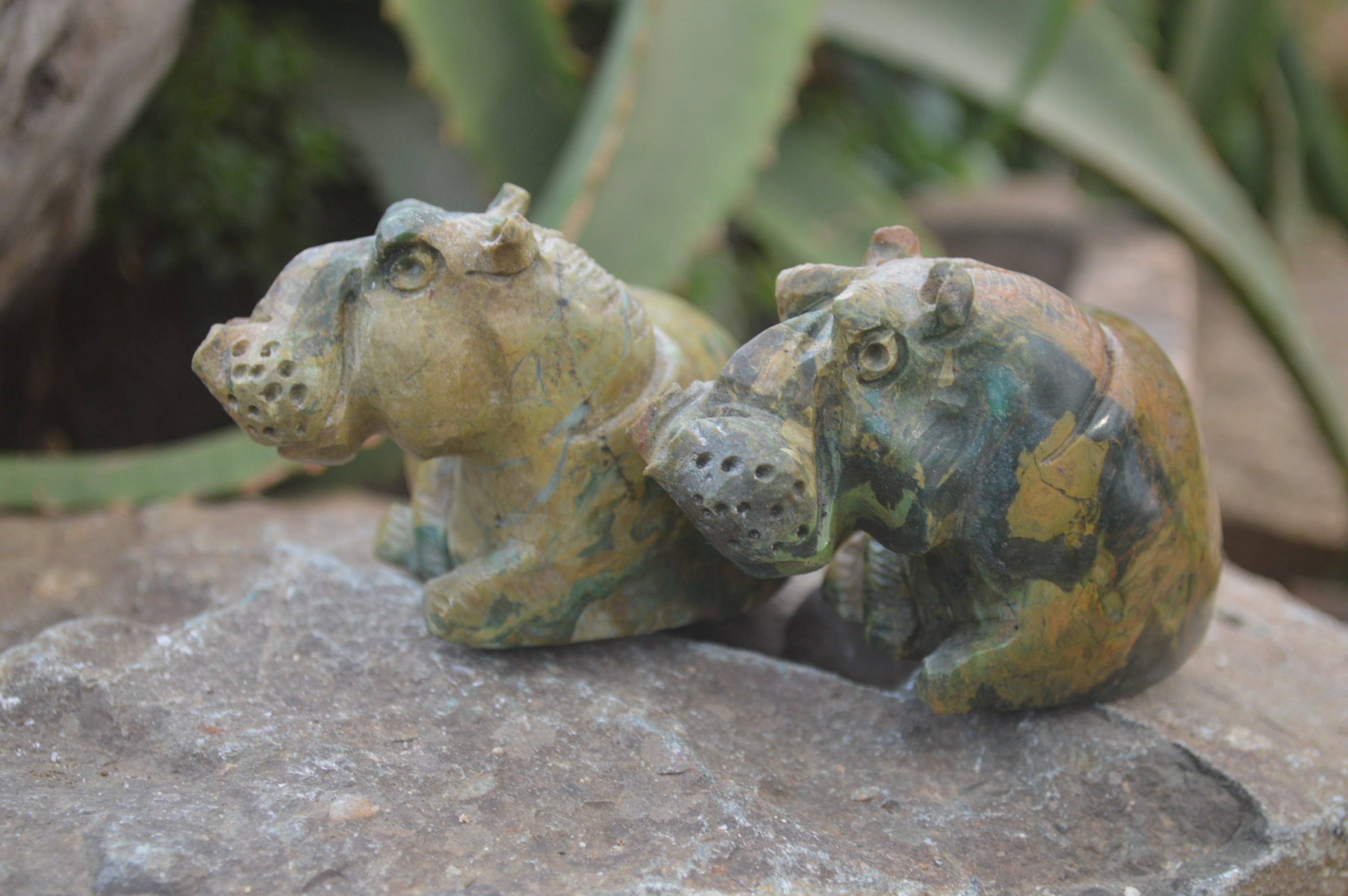 Polished Mixed Stone Hippo Carvings x 3 From Zimbabwe - Toprock Gemstones and Minerals 