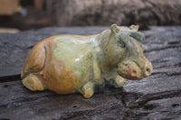 Polished Mixed Stone Hippo Carvings x 3 From Zimbabwe - Toprock Gemstones and Minerals 