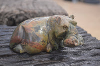 Polished Mixed Stone Hippo Carvings x 3 From Zimbabwe - Toprock Gemstones and Minerals 