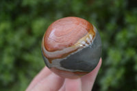 Polished Polychrome Jasper Mushrooms x 5 From Madagascar - Toprock Gemstones and Minerals 