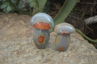 Polished Polychrome Jasper Mushrooms x 5 From Madagascar - Toprock Gemstones and Minerals 