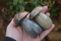 Polished Polychrome Jasper Mushrooms x 5 From Madagascar - Toprock Gemstones and Minerals 
